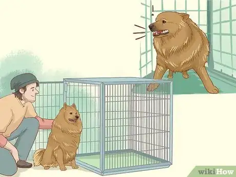 Image titled Build a Dog's Confidence Step 9