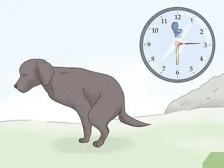 Image titled Potty Train Your Puppy Using a Bell Step 3