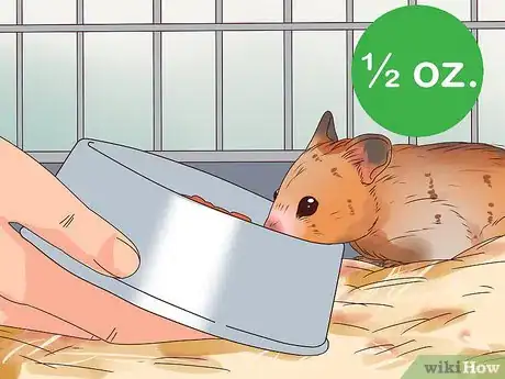 Image titled Care for a Hamster Step 11