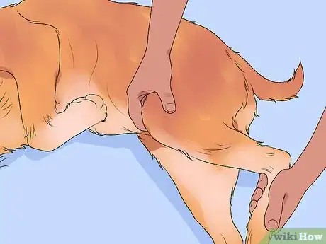 Image titled File a Dog's Nails Step 14