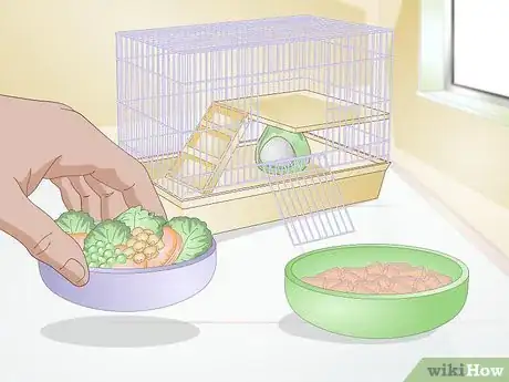 Image titled Prepare for a Pet Hamster for the First Time Step 5