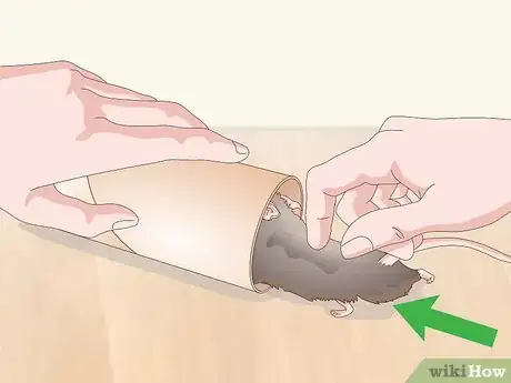 Image titled Pick Up a Pet Mouse Step 7