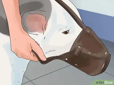 Image titled Give Your Dog Eye Drops Step 5