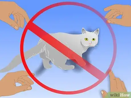 Image titled Care for Physically Abused Cats Step 8
