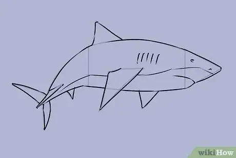 Image titled Draw a Shark Step 18