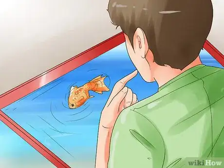 Image titled Humanely Kill a Fish Step 11