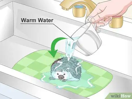 Image titled Bathe a Pet Hedgehog Step 7