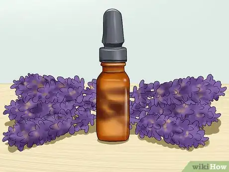 Image titled Calm Your Cat with Aromatherapy Step 1