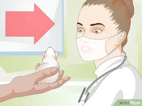 Image titled Prepare for a Pet Hamster for the First Time Step 14