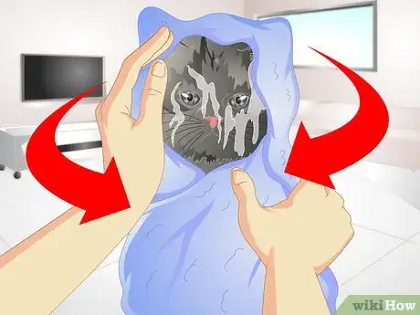 Image titled Remove Urine Smells from a Pet Step 12