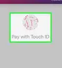 Receive Money from Apple Pay