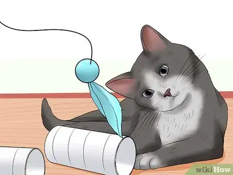 Image titled Know if a Cat Is Stressed Step 12