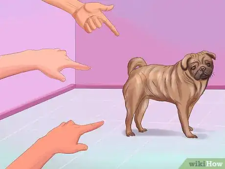 Image titled Live with a Pug Dog Step 5