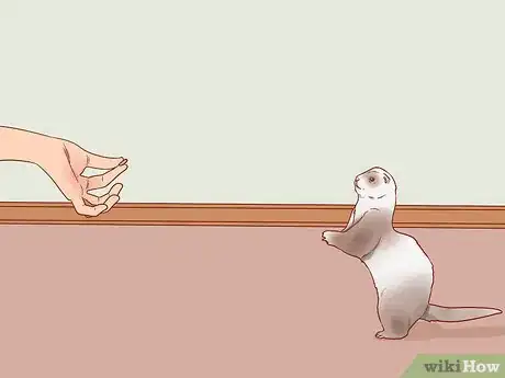 Image titled Train Your Ferrets to Do Tricks Step 4
