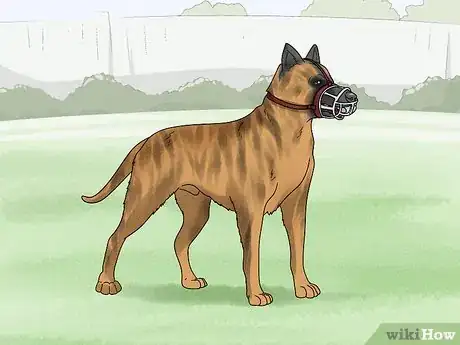 Image titled Use a Muzzle to Correct Nipping in Dogs Step 10