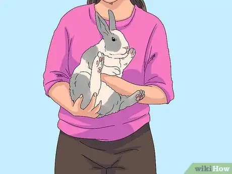 Image titled Pick up a Rabbit Step 5