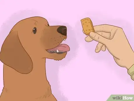 Image titled Stop a Dog from Jumping Up on Strangers Step 11