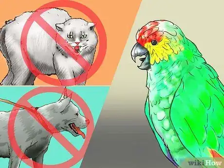 Image titled Know if an Amazon Parrot Is Right for You Step 5