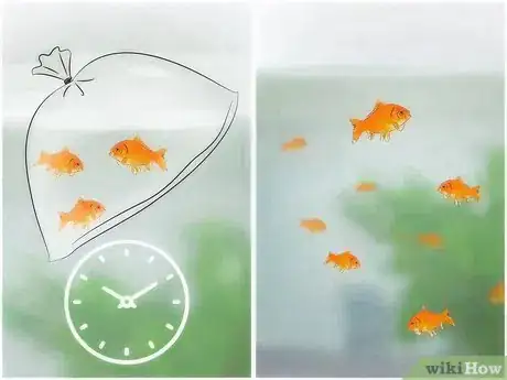 Image titled Take Care of Goldfish Step 7