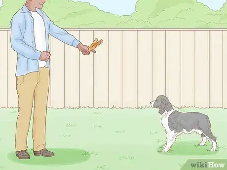 Image titled Stop a Dog from Humping Step 10