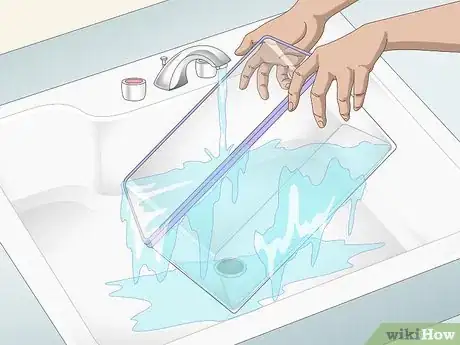 Image titled Remove Fish from an Aquarium to Clean Step 4