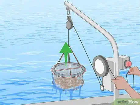 Image titled Catch Shrimp Step 20