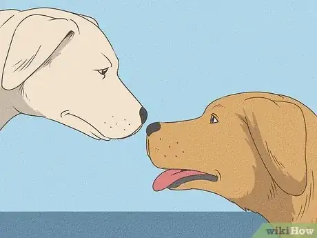 Image titled What Does It Mean when Dogs Ears Are Back Step 11