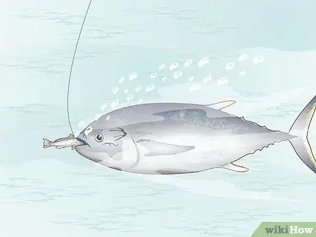 Image titled Fish for Tuna Step 6