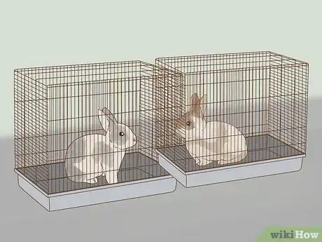 Image titled Know if Your Rabbit is Pregnant Step 8
