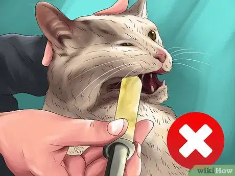 Image titled Handle Essential Oil Poisoning in Cats Step 3