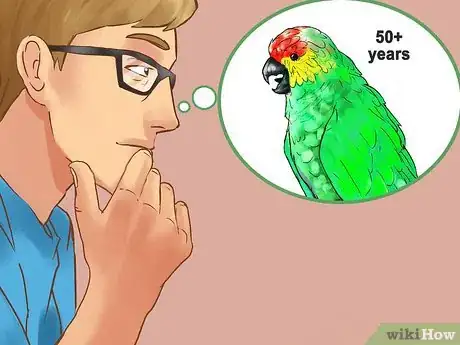 Image titled Know if an Amazon Parrot Is Right for You Step 1