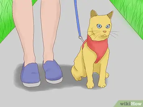 Image titled Keep Your Male Cat from Roaming Step 4
