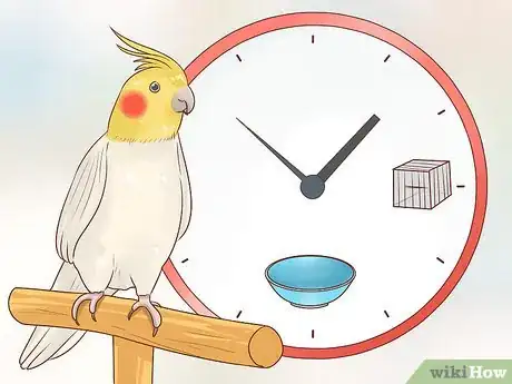 Image titled Know if a Cockatiel Is Right for You Step 1