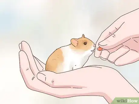 Image titled Care for Hamster Babies Step 20