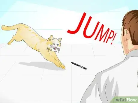 Image titled Clicker Train a Cat Step 17