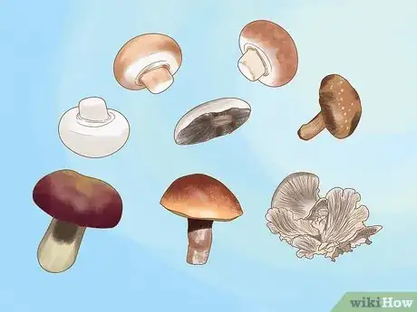 Image titled Grow Edible Mushrooms Step 1