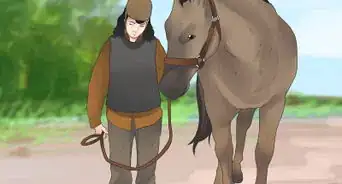 Be Safe Around Horses