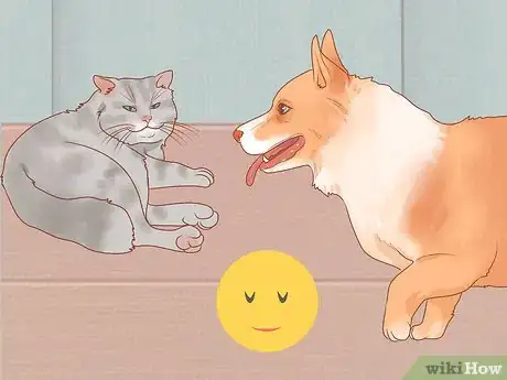 Image titled Be Nice to Your Pets Step 7