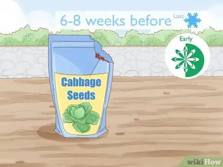 Image titled Plant Cabbage Step 1