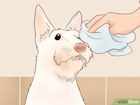 Image titled Groom a Scottish Terrier Step 18