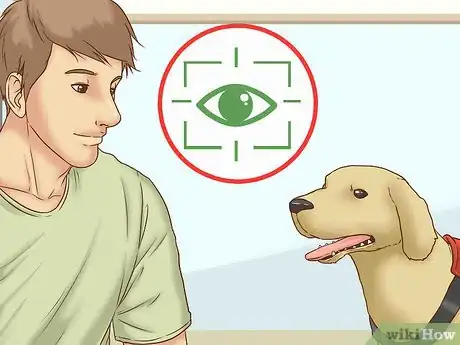 Image titled Get Your Dog's Attention Step 7