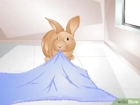 Image titled Tell if Your Rabbit Is Lonely Step 3