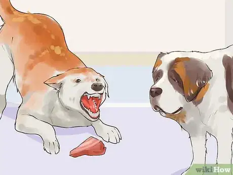 Image titled Gain Trust in an Aggressive Dog Step 9