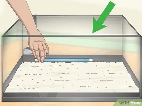 Image titled Take Care of Crayfish Step 2