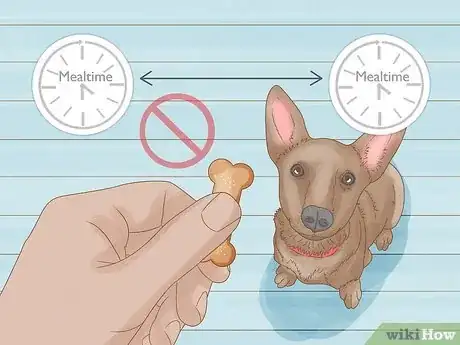 Image titled Get a Dog to Eat Step 17