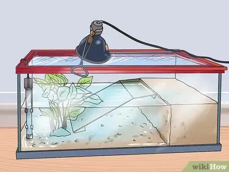 Image titled Make a Turtle Environment Step 10