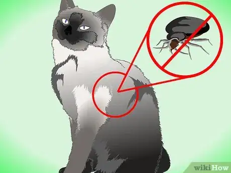 Image titled Get Rid of Dry Skin on Cats Step 1