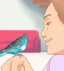 Take Care of a Parakeet