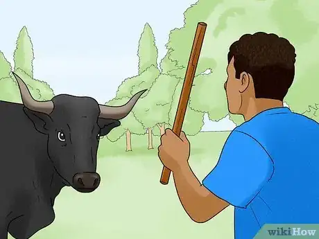 Image titled Avoid or Escape a Bull Step 10