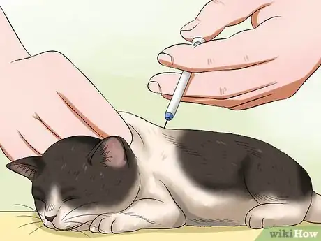 Image titled Diagnose Feline Panleukopenia (Distemper) Step 10